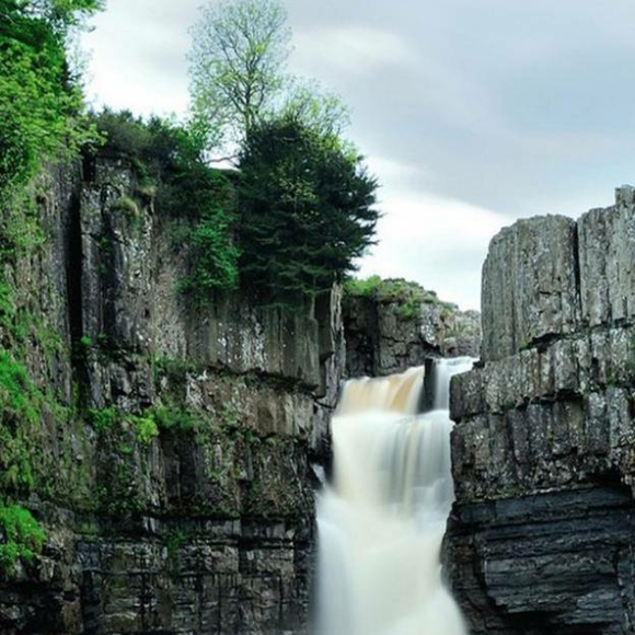 Meet your Posher, Peyton - Picture 2 of 2